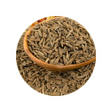 cumin seed